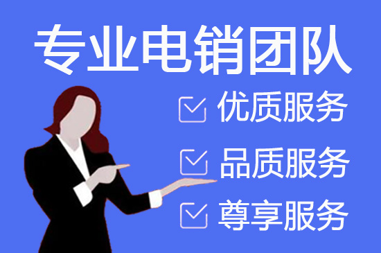 大连电销外包服务